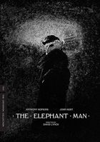 Elephant Man: Criterion Collection