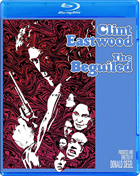 Beguiled: Special Edition (Blu-ray)