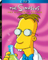 Simpsons: The Complete Sixteenth Season (Blu-ray)