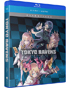 Tokyo Ravens: The Complete Series Essentials (Blu-ray)