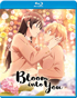 Bloom Into You: Complete Collection (Blu-ray)