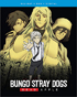 Bungo Stray Dogs: DEAD APPLE (Blu-ray/DVD)
