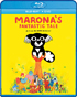 Marona's Fantastic Tale (Blu-ray/DVD)
