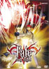 Fate / Stay Night Vol.6: The Holy Grail