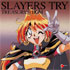 Slayers Try Treasury BGM 1 (OST)