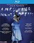 Midsummer Night's Dream (2014)(Blu-ray)