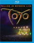 Toto: Falling In Between: Live (Blu-ray)