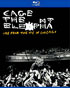 Cage The Elephant: Live From The Vic In Chicago (Blu-ray)