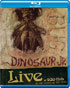 Dinosaur Jr.: Bug Live At 9:30 Club: In The Hands Of The Fans (Blu-ray)
