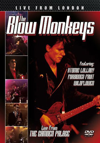 Blow Monkeys: Live From The Camden Palace