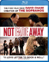 Not Fade Away (Blu-ray)(ReIssue)
