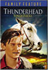 Thunderhead: Son Of Flicka