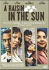 Raisin In The Sun (2008)