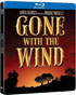 Gone With The Wind: Limited Edition (Blu-ray-CA)(Steelbook)