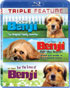 Benji Triple Feature (Blu-ray): Benji / For The Love Of Benji / Benji: Off The Leash!