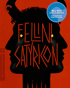 Fellini Satyricon: Criterion Collection (Blu-ray)