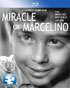 Miracle Of Marcelino (Blu-ray)