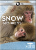 Nature: Snow Monkeys