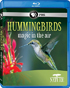 Nature: Hummingbirds (Blu-ray)