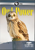 Nature: Owl Power