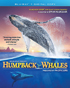 IMAX: Humpback Whales (Blu-ray)