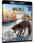 Wildes Venedig 4K (4K Ultra HD-GR)
