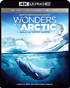 IMAX: Wonders Of The Arctic (4K Ultra HD/Blu-ray 3D/Blu-ray)
