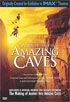 IMAX: Journey Into Amazing Caves 2 Disc Set (DTS)(WMV HD)