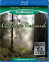 Living Landscapes: California Redwoods (Blu-ray)