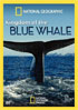 National Geographic: Kingdom Of The Blue Whale