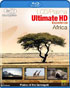 LCD / Plasma Ultimate HD Experience: Africa (Blu-ray)