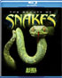 Beauty Of Snakes (Blu-ray)