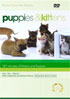 Puppies And Kittens