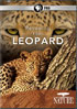 Nature: Revealing The Leopard
