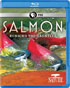 Nature: Salmon: Running The Gauntlet (Blu-ray)