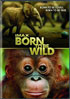IMAX: Born To Be Wild
