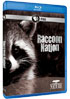 Nature: Raccoon Nation (Blu-ray)