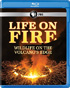 Life On Fire: Wildlife On The Volcano's Edge (Blu-ray)