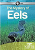 Nature: The Mystery Of Eels