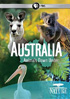 Nature: Australia: Animals Down Under