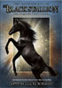 Adventures Of The Black Stallion: The Complete Third Season