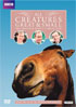 All Creatures Great And Small: The Complete Series 5 Collection