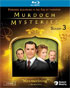 Murdoch Mysteries: Season 3 (Blu-ray)