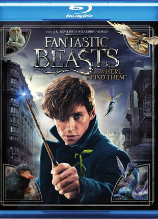 Fantastic Beasts And Where To Find Them (Blu-ray/DVD)