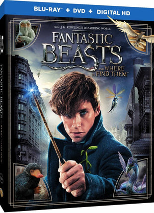 Fantastic Beasts And Where To Find Them (Blu-ray/DVD)