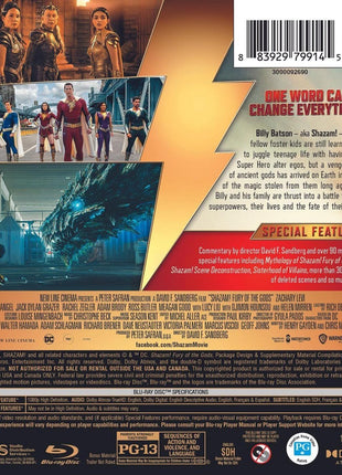 Shazam! Fury Of The Gods (Blu-ray/DVD)
