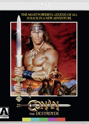Conan The Destroyer: Standard Edition (Blu-ray)