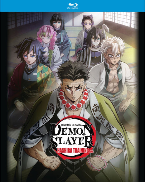 Demon Slayer: Kimetsu No Yaiba: Hashira Training Arc (Blu-ray)