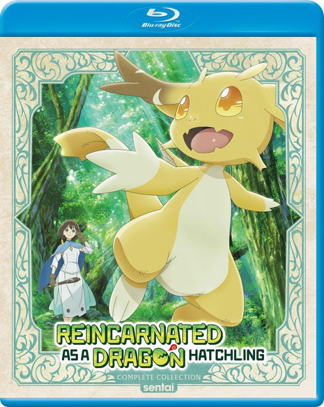 Reincarnated As A Dragon Hatchling: Complete Collection (Blu-ray)
