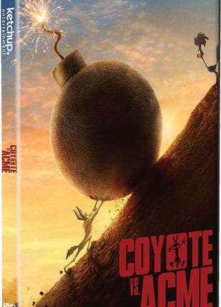 Coyote vs. Acme